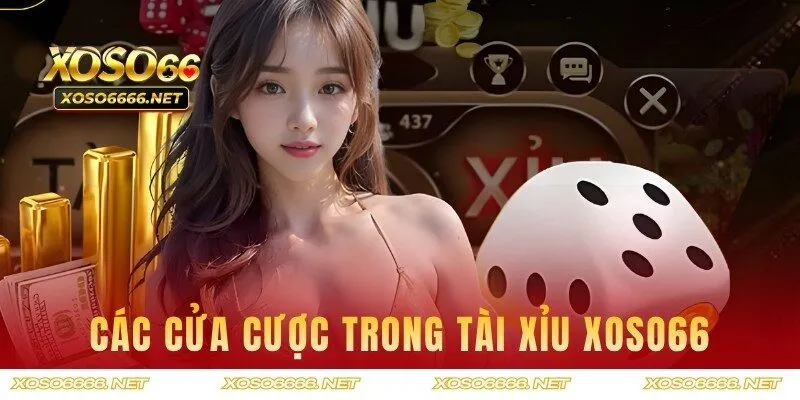 Các loại cửa cược phổ biến trong game tại nhà cái