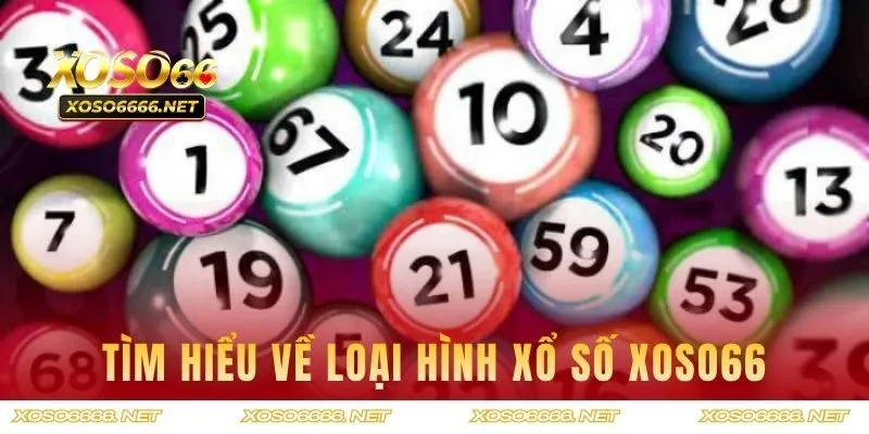 Tìm hiểu về loại hình xổ số XOSO66